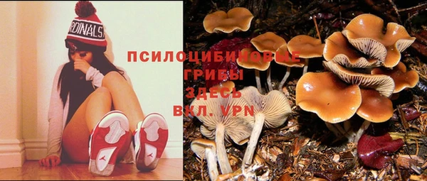 МДМА Белоозёрский